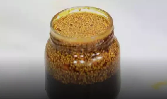 الحلبة