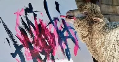 اختفاء 