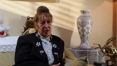 القبض على المتورطين في سرقة منزل الفنانة السورية منى واصف