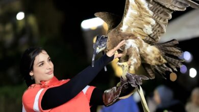 وفاة بلوغر مصرية بعد سقوط مروع في حادث غامض