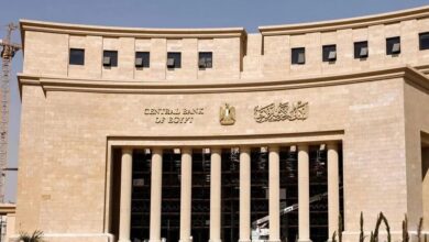 مصر تعلن وصول النقد الأجنبي لمستوى قياسي مصر تعلن وصول النقد الأجنبي لمستوى قياسي